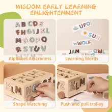 Montessori Matching Blocks Toys