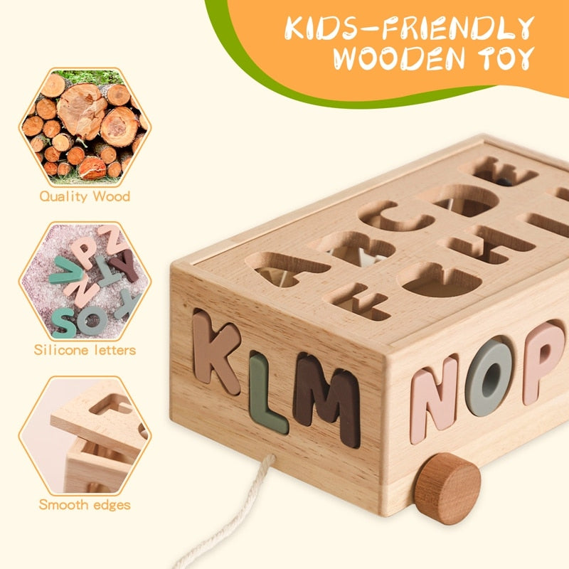 Montessori Matching Blocks Toys