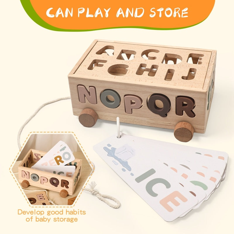 Montessori Matching Blocks Toys