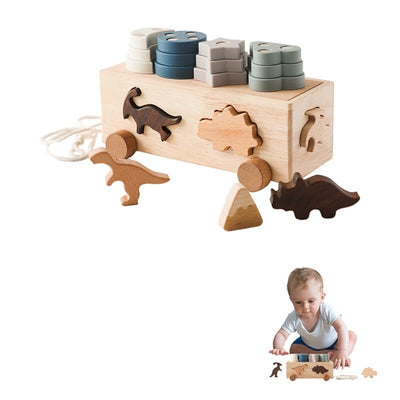 Montessori Matching Blocks Toys