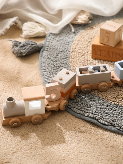 Montessori Toys Wooden Train