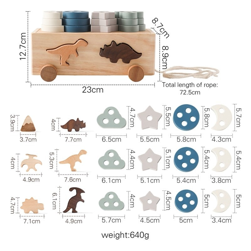 Montessori Matching Blocks Toys